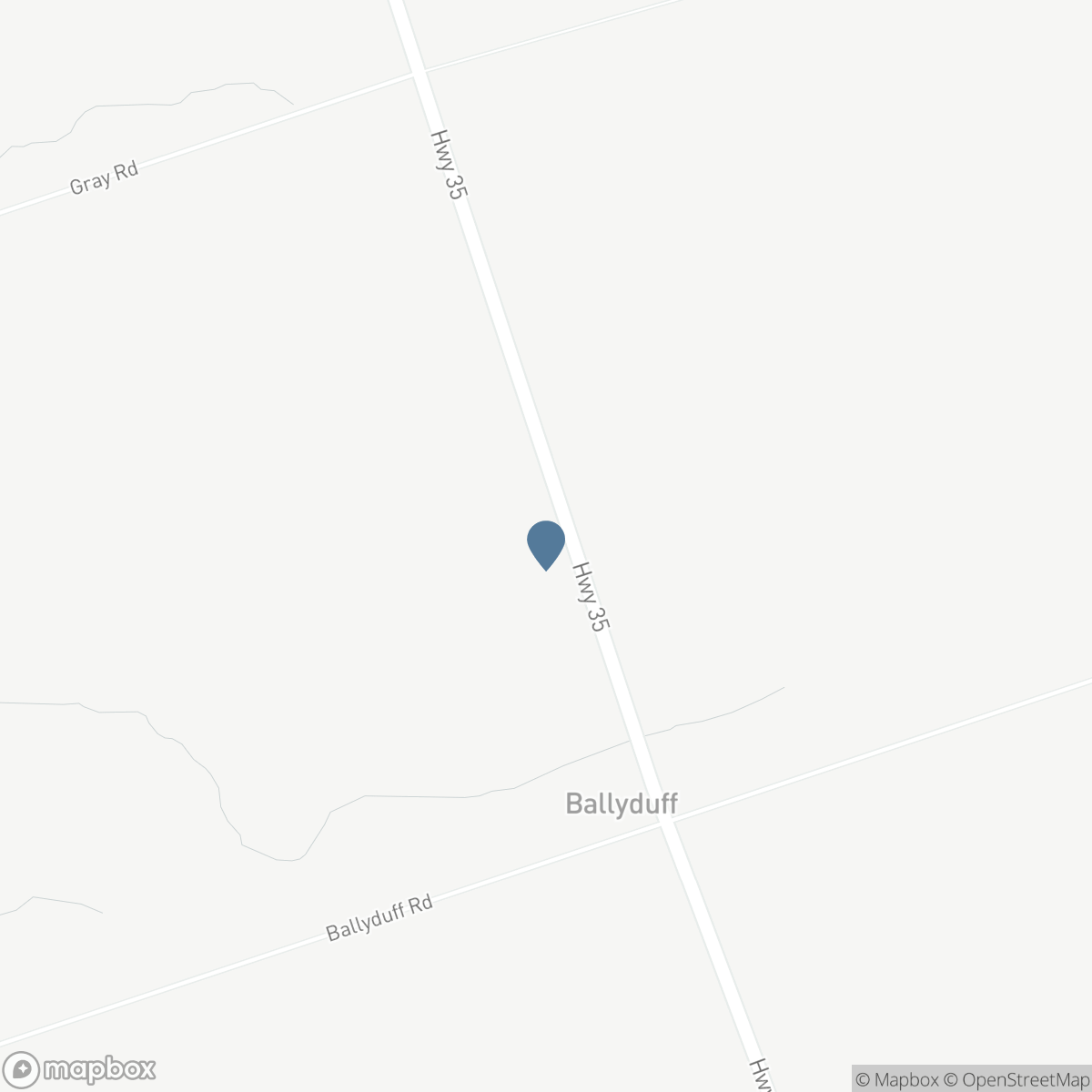 785 HIGHWAY 35, Kawartha Lakes, Ontario L0A 1K0